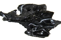 Sự thật hãi hùng bộ não bị thủy tinh hóa trong hộp sọ ở Herculaneum