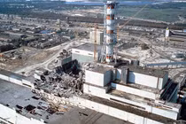 Sự thực thảm họa Chernobyl năm 1986 khiến chuột trở thành quái vật?