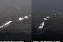 Nóng: Quái vật hồ Loch Ness có “anh em” trú ngụ ở Alaska?