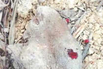 Xem hòn đá “chảy máu”, lộ bí mật động trời về hoàng đế xưa 