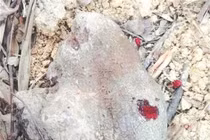 Xem hòn đá “chảy máu”, lộ bí mật động trời về hoàng đế xưa 