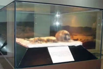 Giải mã xác ướp cổ nhất châu Phi, hé lộ bí mật bất ngờ