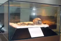 Giải mã xác ướp cổ nhất châu Phi, hé lộ bí mật bất ngờ