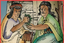 Giải mã loại lá cây được quý hơn vàng của đế chế Inca