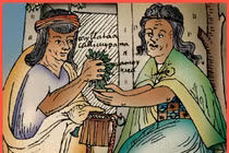 Giải mã loại lá cây được quý hơn vàng của đế chế Inca