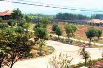 Đại gia Quảng Nam dựng biệt phủ trên đất rừng: Đề xuất xử phạt hành chính