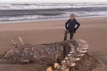 Cực sốc: Đã tìm thấy bộ xương của quái vật hồ Loch Ness?