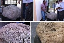 Hỳ hục đào giếng, bất ngờ chạm phải kho báu trăm triệu USD 