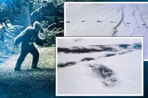 Tiết lộ gây choáng về người tuyết trên dãy Himalaya: Thực sự tồn tại? 