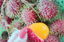 Chôm chôm vàng tưởng của nhà giàu sang chảnh, lại là quả dại ven rừng