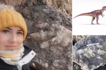 Bí mật thú vị về dấu chân khủng long 175 triệu năm tuổi