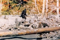 Đoạn video về sinh vật lạ nghi là quái vật bí ẩn Bigfoot