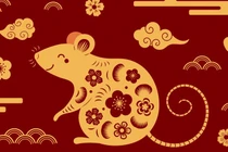 Dự đoán ngày mới 30/8/2024 cho 12 con giáp: Tý đam mê