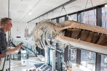 Bảo tàng Anh dùng AI giúp động vật “trò chuyện” với khách tham quan