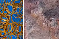 Phát hiện mộ cổ ở Romania, chuyên gia sửng sốt: "Toàn nhẫn vàng!" 