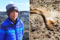 Bất ngờ phát hiện hóa thạch khủng long gần 70 triệu năm tuổi