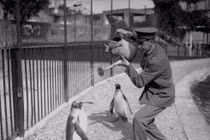 Loạt ảnh độc - lạ - hiếm ghi dấu khoảnh khắc đắt giá trong đời 