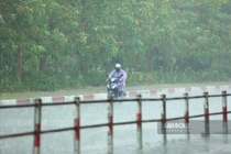 Dự báo thời tiết 3/9: Miền Bắc có mưa vào sáng sớm và đêm, ngày trở nắng