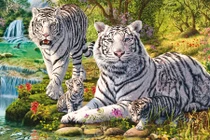 Tử vi tuần mới (4 - 10/11): 3 con giáp phát đạt