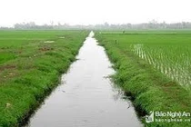 Sàm sỡ phụ nữ, nam thanh niên bị đẩy xuống mương