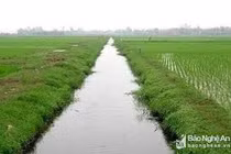 Sàm sỡ phụ nữ, nam thanh niên bị đẩy xuống mương