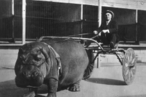 Ngỡ ngàng những bức ảnh nổi tiếng ghi dấu khoảnh khắc đặc biệt