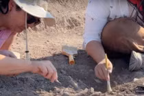 Khai quật ngôi mộ cổ 7.600 tuổi, hé lộ bí mật bất ngờ