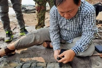 Kinh ngạc quái thú khổng lồ 190 triệu tuổi lộ diện ở Campuchia 