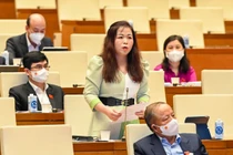 ĐBQH chuyên trách dành 2 ngày thảo luận 4 luật trình Quốc hội tại Kỳ họp thứ 3