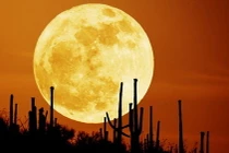 Giải mã 4 hiện tượng thiên văn kỳ thú diễn ra trong tháng 6/2022