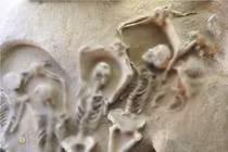 Khai quật nghĩa trang, lộ ra 80 hài cốt cổ bị trói lạ lùng 