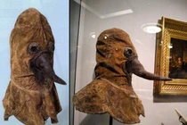 Giải mã mặt nạ mỏ chim quái dị của bác sĩ thế kỷ 16