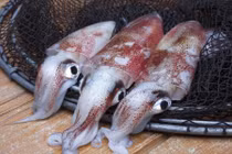 Thấy hải sản có đặc điểm này tuyệt đối không được mua