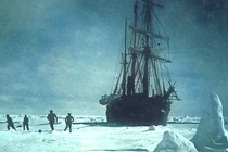 Vụ sống sót thần kỳ của đoàn thám hiểm Nam Cực năm 1915