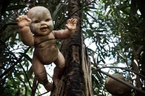 Bí mật rùng rợn vùng đất hàng trăm búp bê ma quái ẩn náu