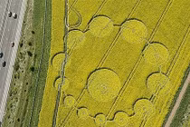 Vòng tròn khổng lồ ở Anh được giải mã: Liên quan người ngoài hành tinh? 