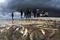 Bí ẩn hồ nước thiêng có hàng ngàn tấn cá, đố ai dám mạo phạm 