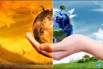 Chuyên gia tiên đoán: " Đại tuyệt chủng hàng loạt có thể xảy ra năm 2100"?