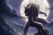 Vì sao người châu Âu “đuổi cùng giết tận” người sói thời Trung cổ? 