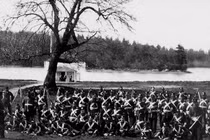 Mỹ - Anh suýt xảy ra cuộc chiến tranh vì... một con lợn