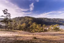 Cỏ hồng điểm tô sắc đông Đà Lạt