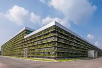 Nhà máy phủ xanh mặt tiền cực độc đáo, nhìn là mê ngay