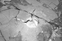 NASA tung ảnh chụp “dải thịt xông khói” trên sao Hoả: Nghi có sự sống? 