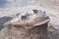 Rùng mình hộp sọ quái thú trấn yểm trong mộ cổ 2.000 tuổi