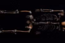 Phân tích ADN hé lộ cái chết của người đàn ông thời Trung cổ