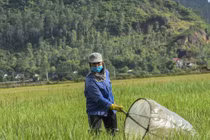 Ba động vật gây hại nhưng đích thị "mỏ vàng", dân bán kiếm bộn tiền 