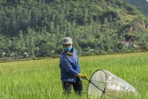 Ba động vật gây hại nhưng đích thị "mỏ vàng", dân bán kiếm bộn tiền 