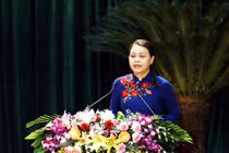 Giới thiệu bà Nguyễn Thị Thu Hà để bầu Bí thư Ninh Bình khoá mới