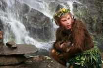 Sự thật sững sờ nơi Tôn Ngộ Không chào đời có thật trên Trái đất