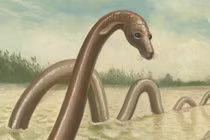 Bí ẩn thủy quái nước ngọt được thổ dân sùng bái như vị thần